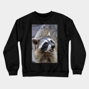 Beautiful Raccoon Print Crewneck Sweatshirt